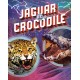Jaguar vs Crocodile