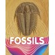 Fossils