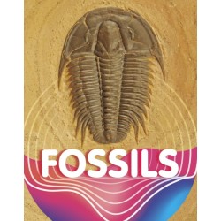 Fossils