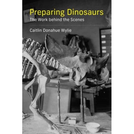 Preparing Dinosaurs: The Work behind the Scenes