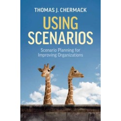 Using Scenarios: Scenario Planning for Improving Organizations