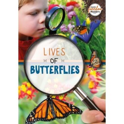 Lives of Butterflies