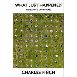 What Just Happened: Notes on a Long Year