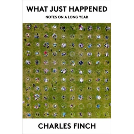 What Just Happened: Notes on a Long Year