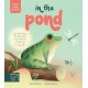A Three Step Stories: In the Pond: Lift the flaps to discover first nature stories in 1… 2… 3!