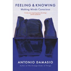Feeling and Knowing: Making Minds Conscious