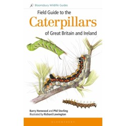 Field Guide to the Caterpillars of Great Britain and Ireland