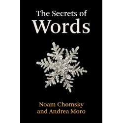 The Secrets of Words
