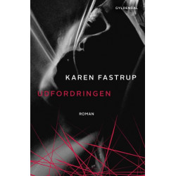 Udfordringen: En erotisk fortælling