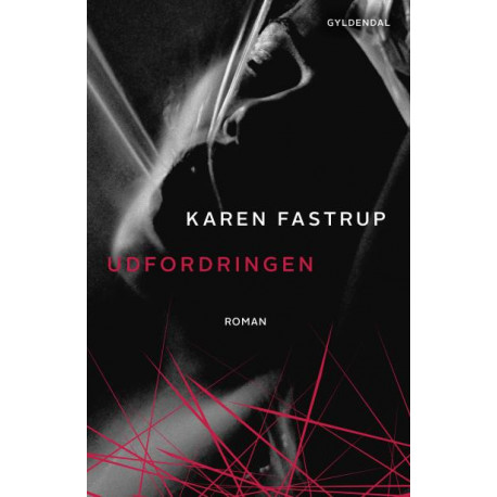 Udfordringen: En erotisk fortælling