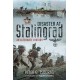 Disaster at Stalingrad: An Alternate History