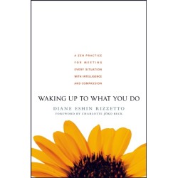 Waking Up to What You Do: A Zen Practice for Meeting Every Situation with Intelligence and Compassion