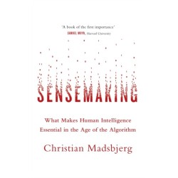 Sensemaking: What Makes Human Intelligence Essential in the Age of the Algorithm