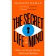 The Secret Life of the Mind: How Our Brain Thinks, Feels and Decides