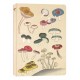 Healing Mushrooms Lined Paperback Journal: Blank Notebook with Pocket