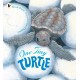 One Tiny Turtle