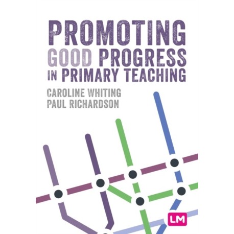 Promoting Good Progress in Primary Schools