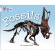 Fossils: Band 10/White
