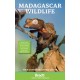 Madagascar Wildlife