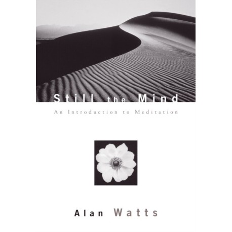Still the Mind: An Introduction to Meditation