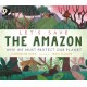 Let's Save the Amazon: Why we must protect our planet