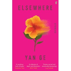 Elsewhere: 'Wonderful writing' Sarah Hall