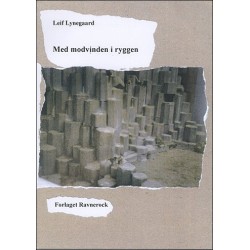 Med modvinden i ryggen: en samling sære tanker