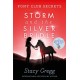 Storm and the Silver Bridle