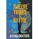 The Twelve Tribes of Hattie: an epic, lyrical and engrossing classic
