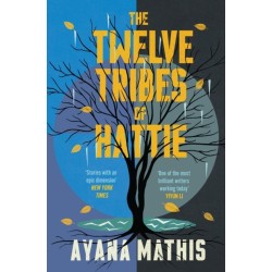 The Twelve Tribes of Hattie: an epic, lyrical and engrossing classic