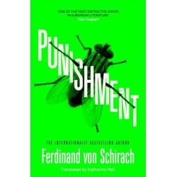 Punishment: The gripping international bestseller