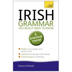 Irish Grammar You Really Need to Know: Teach Yourself