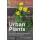 A Field Guide to Urban Plants: Common Species of Pavements, Walls and Waste Ground
