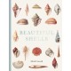 Beautiful Shells