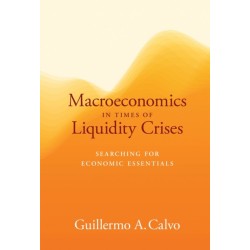 Macroeconomics in Times of Liquidity Crises: Searching for Economic Essentials