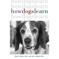 How Dogs Learn