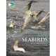 RSPB Seabirds