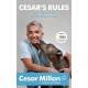 Cesar's Rules