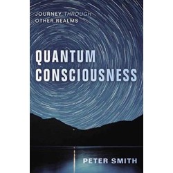 Quantum Consciousness: Journey Through Other Realms