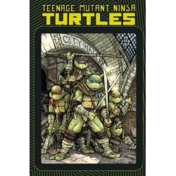 Teenage Mutant Ninja Turtles: Macro-Series: Macro-Series