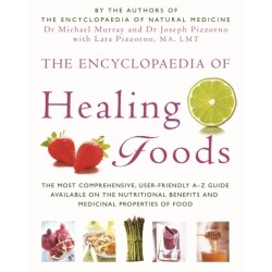 The Encyclopaedia Of Healing Foods