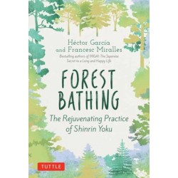 Forest Bathing: The Rejuvenating Practice of Shinrin Yoku
