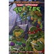 Teenage Mutant Ninja Turtles: Saturday Morning Adventures, Vol. 3