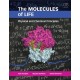 The Molecules of Life