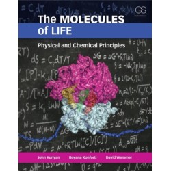 The Molecules of Life