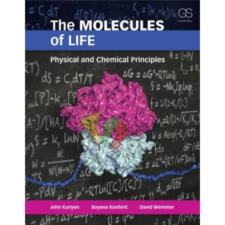 The Molecules of Life
