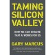 Taming Silicon Valley: How to Protect Our Jobs, Safety, and Society in the Age of AI