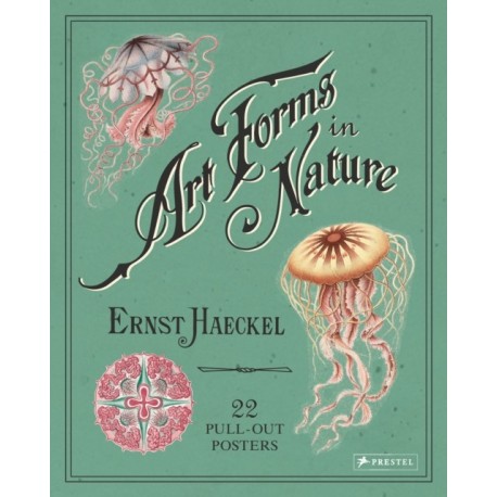 Ernst Haeckel: Art Forms in Nature: 22 Pull-Out Posters