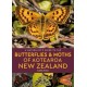 A Naturalist's Guide to the Butterflies & Moths of Aotearoa New Zealand