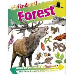 DKfindout! Forest